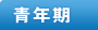 青年期