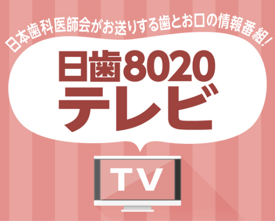 日歯8020テレビ