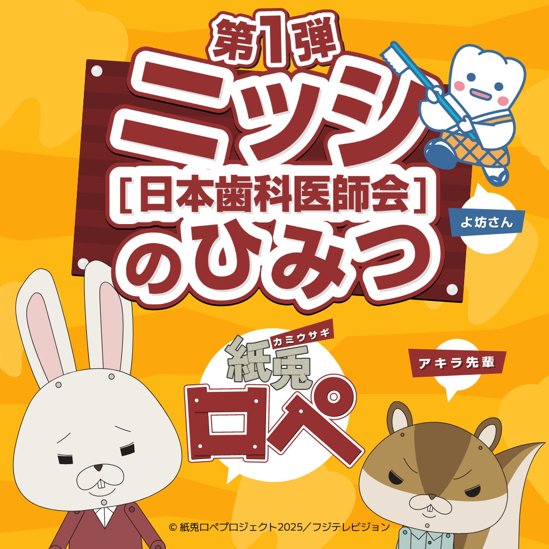ニッシ[日本歯科医師会]のひみつ