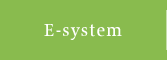 E-system