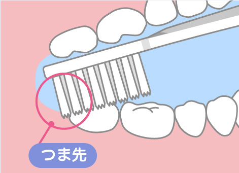 ハブラシのつま先をあててみがく