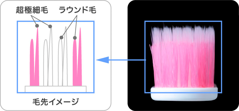 ハブラシに超極細毛とラウンド毛の2種類を使用した