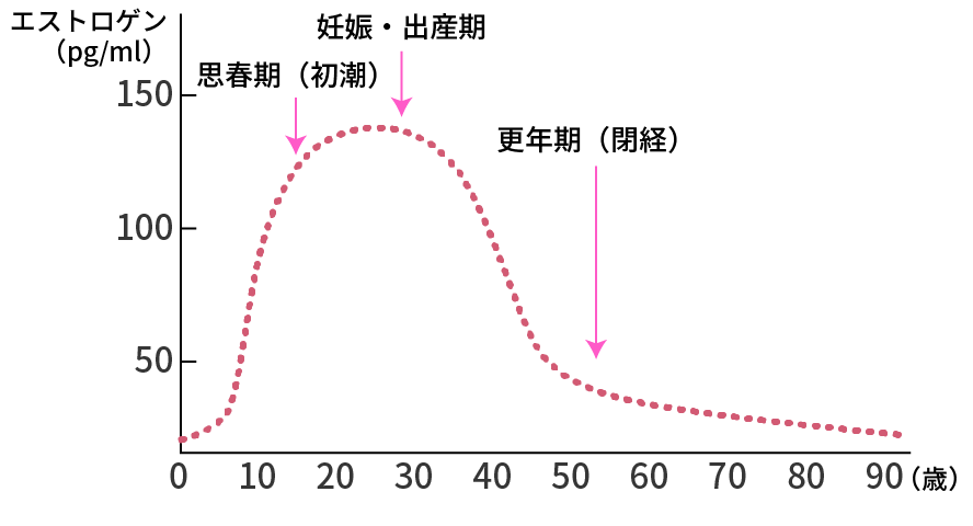 女性ホルモンの分泌量の変化