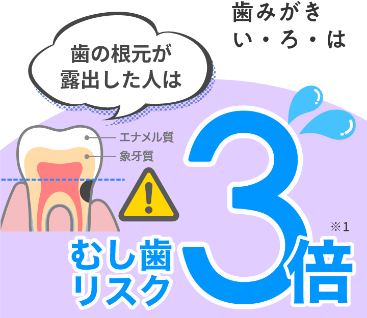 歯みがき  い・ろ・は　“歯の根元が露出した人はむし歯リスク3倍”