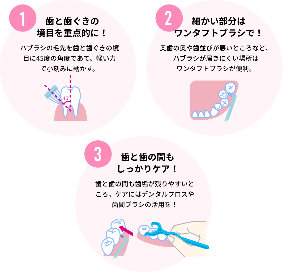 1 歯と歯ぐきの境目を重点的に！ ハブラシの毛先を歯と歯ぐきの境目に45度の角度であて、軽い力で小刻みに動かす。 2 細かい部分はワンタフトブラシで！ 奥歯の奥や歯並びが悪いところなど、ハブラシが届きにくい場所はワンタフトブラシが便利。 3 歯と歯の間もしっかりケア！ 歯と歯の間も歯垢が残りやすいところ。ケアにはデンタルフロスや歯間ブラシの活用を！