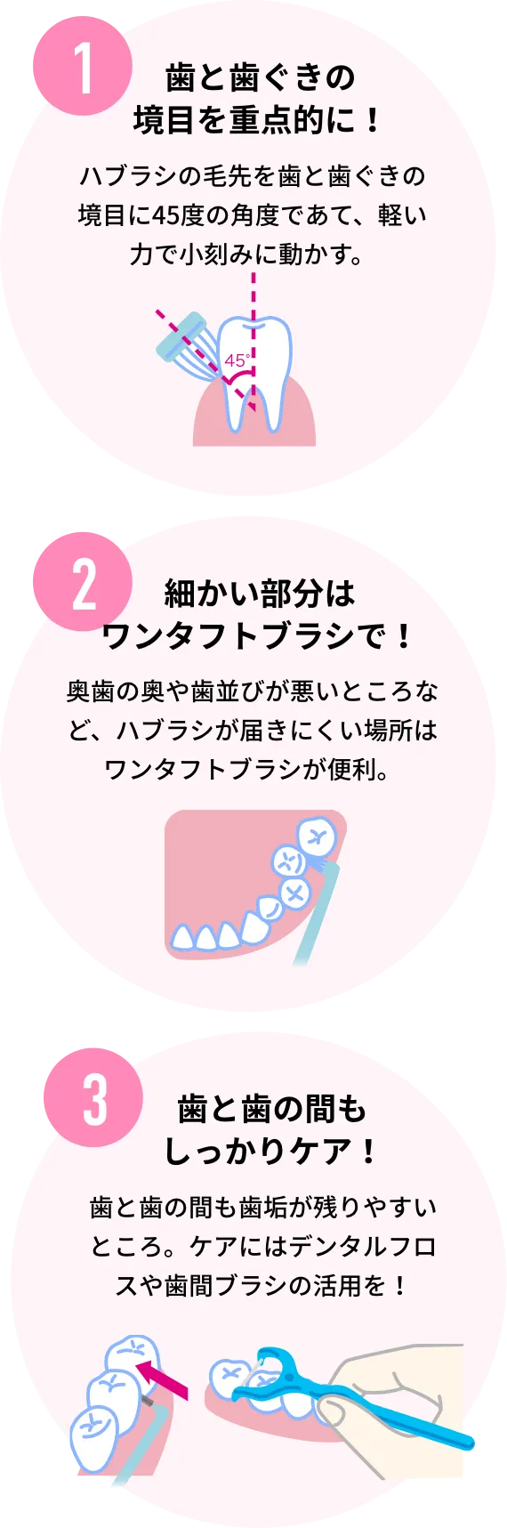 1 歯と歯ぐきの境目を重点的に！ ハブラシの毛先を歯と歯ぐきの境目に45度の角度であて、軽い力で小刻みに動かす。 2 細かい部分はワンタフトブラシで！ 奥歯の奥や歯並びが悪いところなど、ハブラシが届きにくい場所はワンタフトブラシが便利。 3 歯と歯の間もしっかりケア！ 歯と歯の間も歯垢が残りやすいところ。ケアにはデンタルフロスや歯間ブラシの活用を！