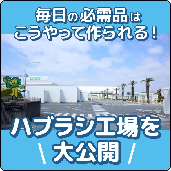 毎日の必需品はこうやって作られる！ハブラシ工場を大公開