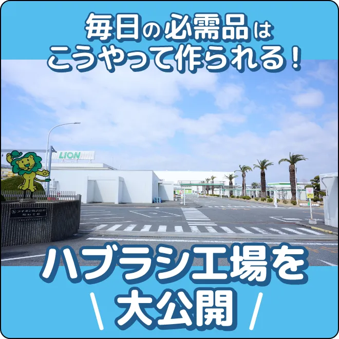 毎日の必需品はこうやって作られる！ハブラシ工場を大公開