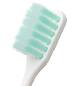 システマハグキプラスハブラシワイドヘッド 商品画像