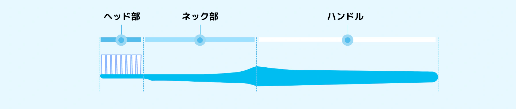 ヘッド部 ネック部 ハンドル