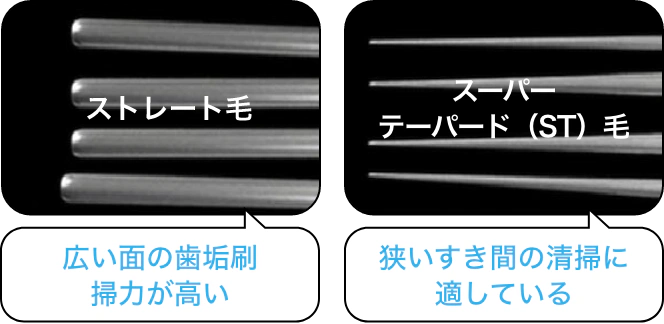 ストレート毛 広い面の歯垢刷掃力が高い スーパーテーパード(ST)毛 狭いすき間の清掃に適している