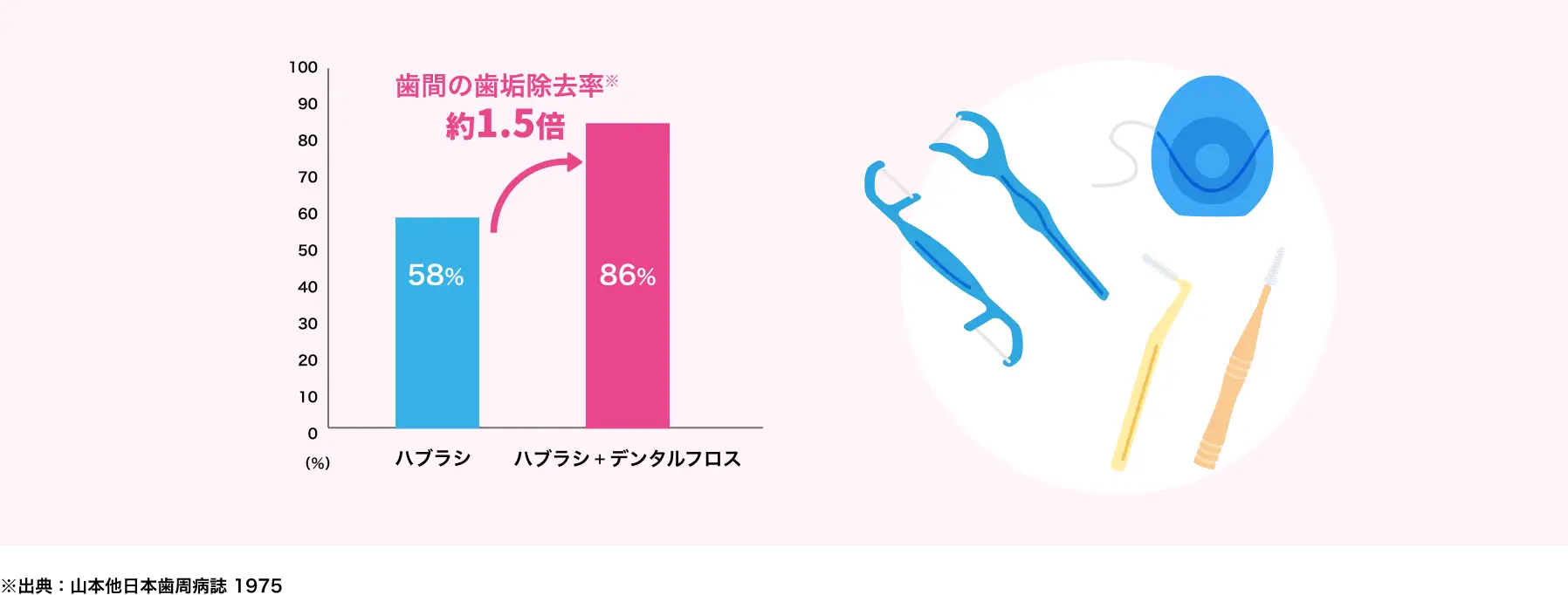 歯間の歯垢除去率※ 約1.5倍 ※出典：山本他日本歯周病誌 1975