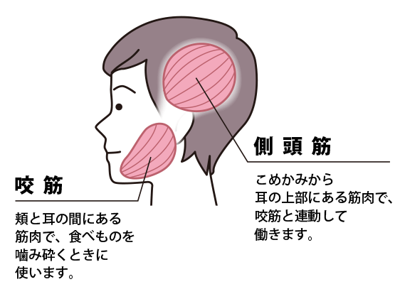 噛むチカラでもチェック