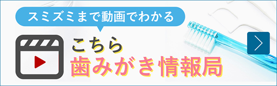 スミズミまで動画でわかるこちら歯みがき情報局