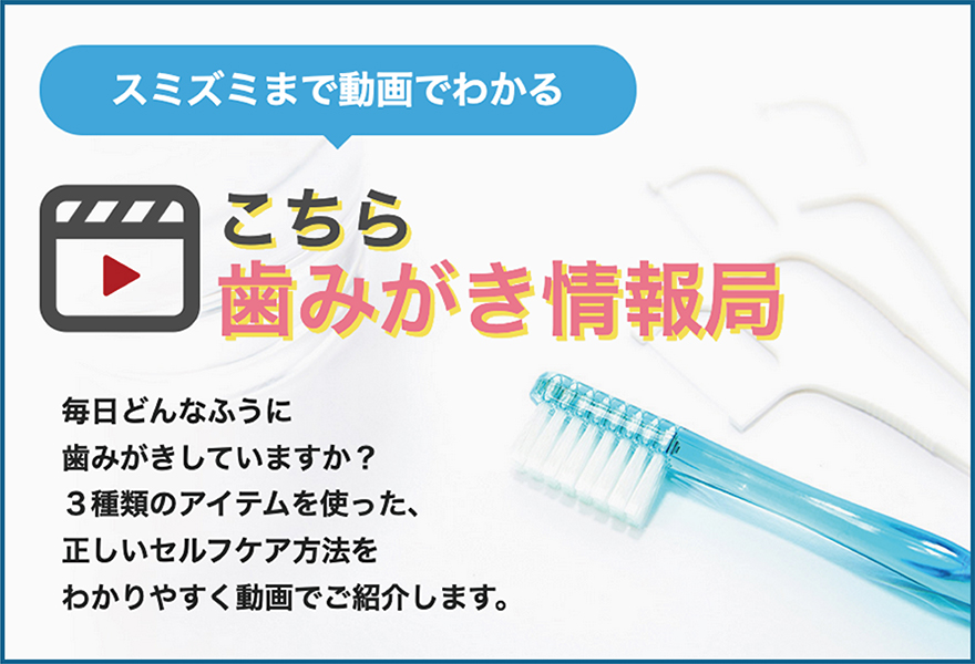 スミズミまで動画でわかるこちら歯みがき情報局