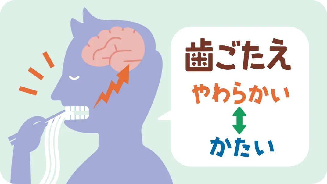 歯ごたえって何？