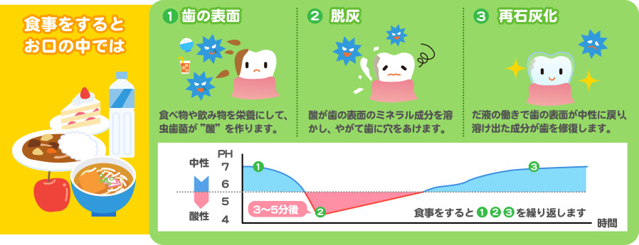 歯科から食育 歯とお口のことなら何でもわかる テーマパーク80