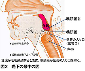 飲む 飲み込む 歯とお口のことなら何でもわかる テーマパーク80