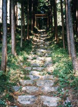 秩父市　白山神社