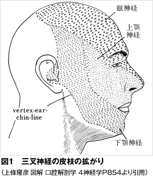 障害 は どれ か 知覚 13: 感覚・知覚・認知の障害