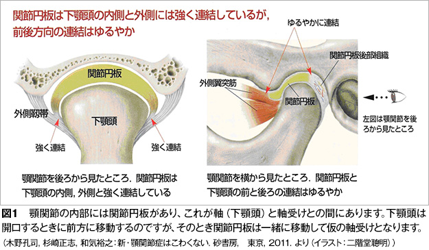 額 関節 痛 症 治療 法