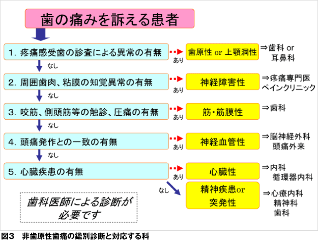 が 原因 奥歯 痛い